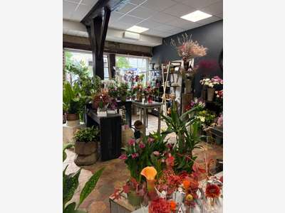 Cession commerce fleurs  - cadeaux - déco à Bréval
