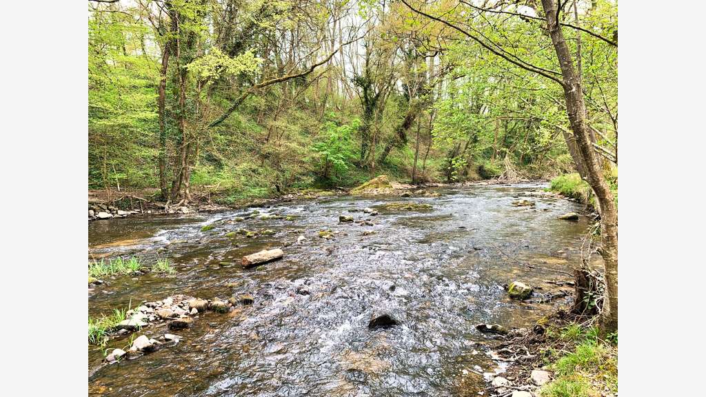 Moulin 1560 gîtes, chambres, piscine, 8 ha rivière