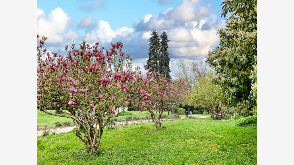 Moulin 1560 gîtes, chambres, piscine, 8 ha rivière