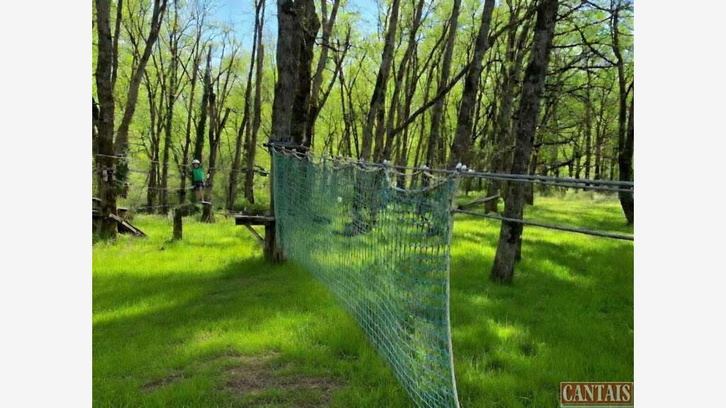 Cession parc accrobranche 80m² en centre Occitanie