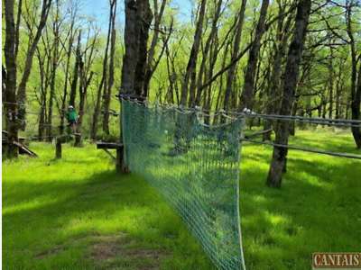 Cession parc accrobranche 80m² en centre Occitanie