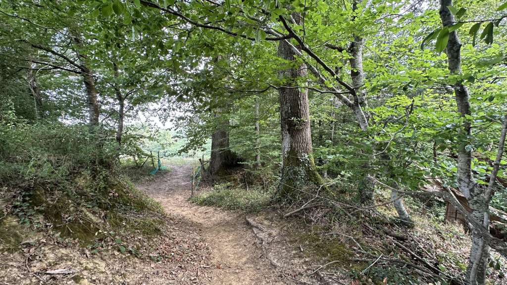 Vente propriété équestre 131m² Bas-Armagnac Estang