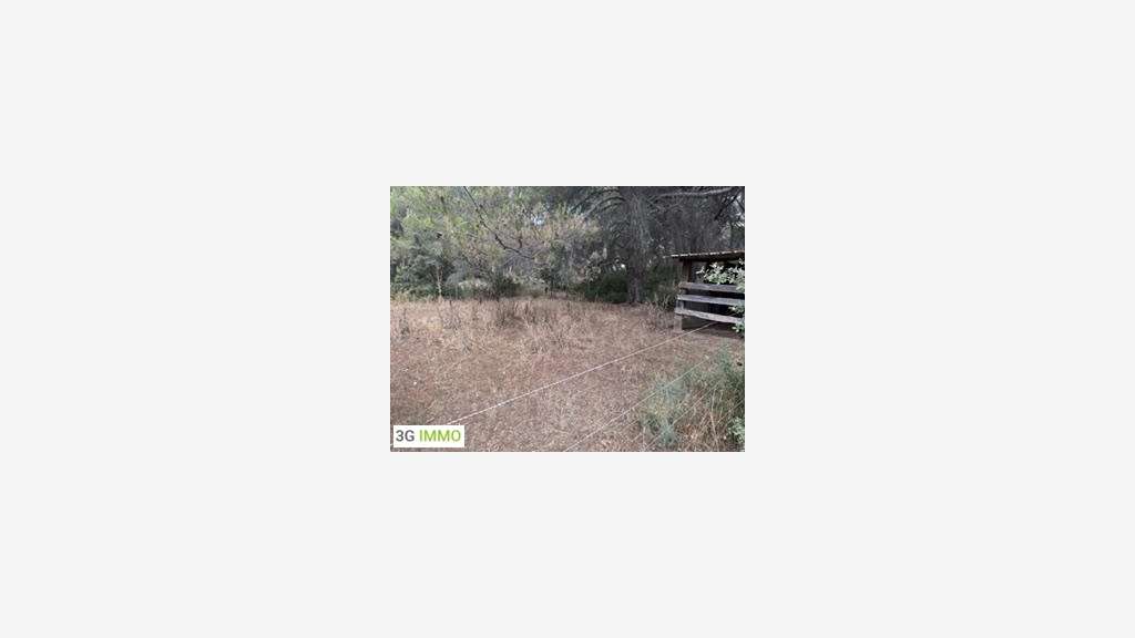 Vente propriété équestre à Maussane-les-Alpilles