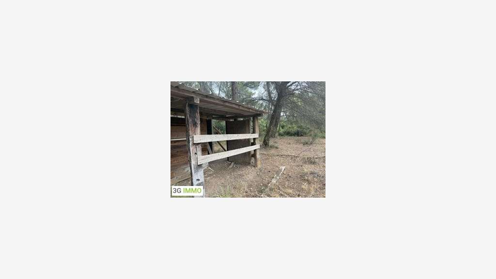 Vente propriété équestre à Maussane-les-Alpilles
