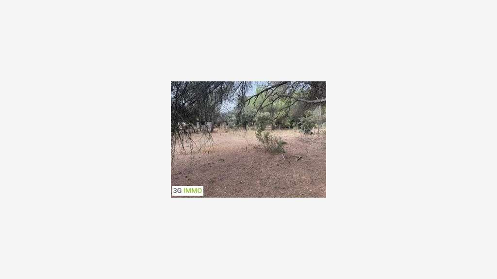 Vente propriété équestre à Maussane-les-Alpilles