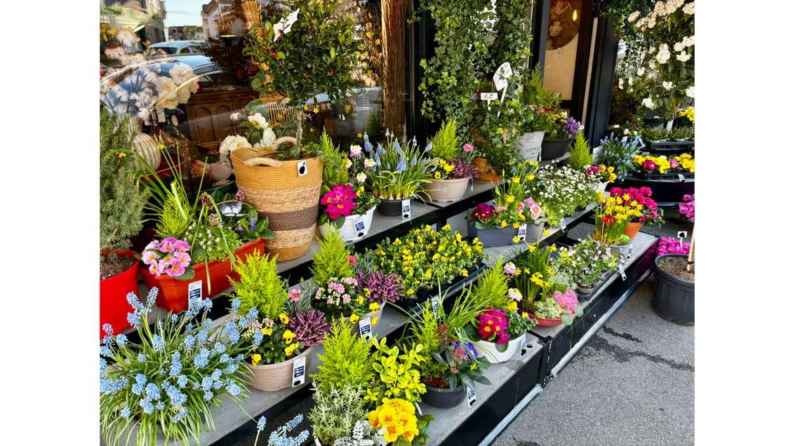 Vente FDC fleuriste en centre ville de Saint-Amand