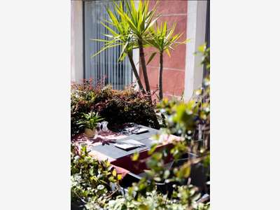 Restaurant traditionnel CA 620K € CENTRE-VILLE VAR