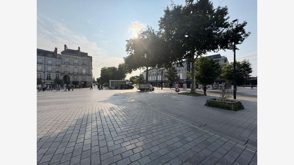 Restauration rapide à vendre à Nantes