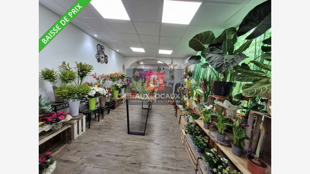 FDC fleuriste à vendre la Fare-les-Oliviers centre