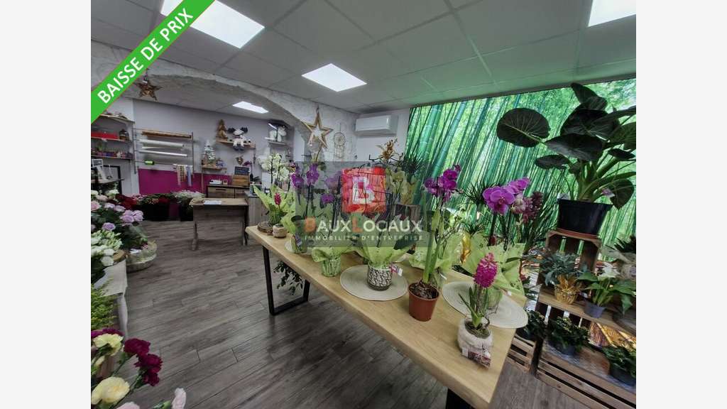 FDC fleuriste à vendre la Fare-les-Oliviers centre