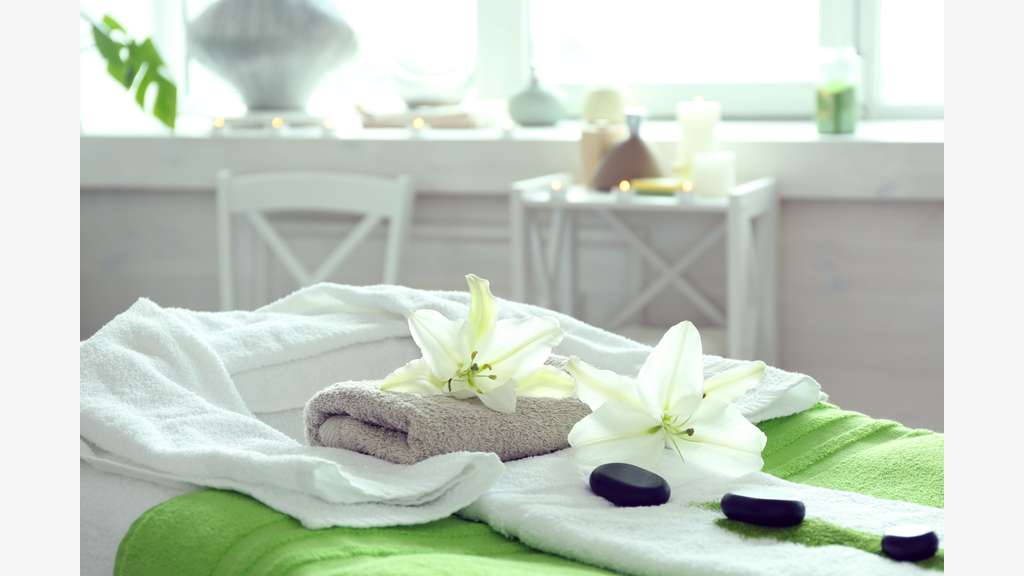 Vente centre de bien être spa en Saône-et-Loire