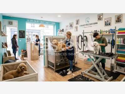 A vendre salon de toilettage en pays de Vannes