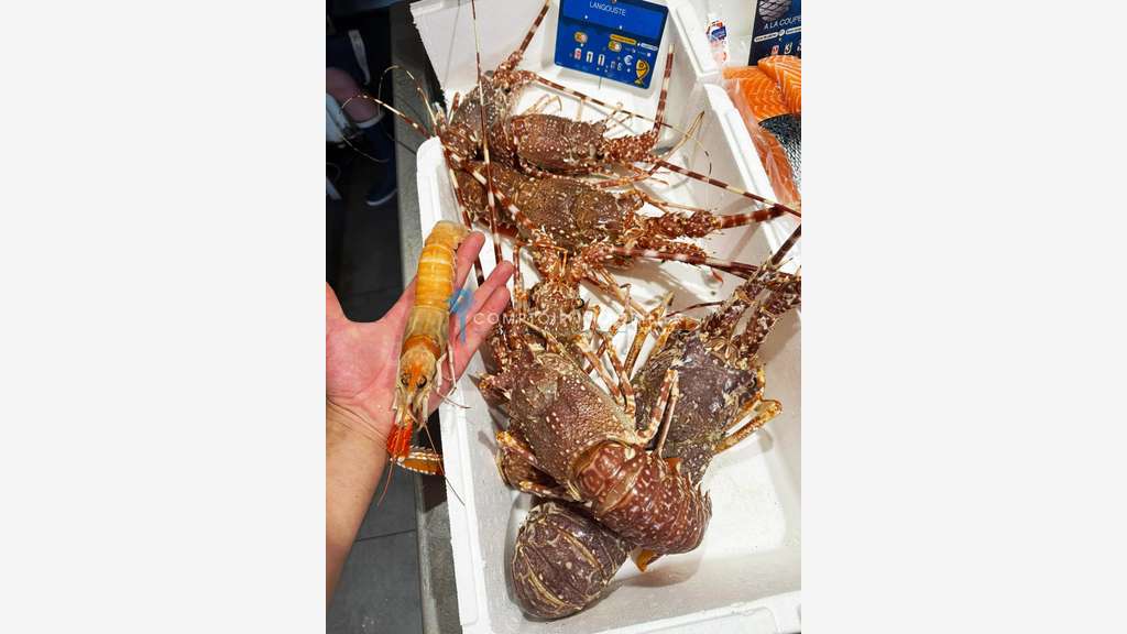 AV poissonnerie idéalement située le Grau du Roi
