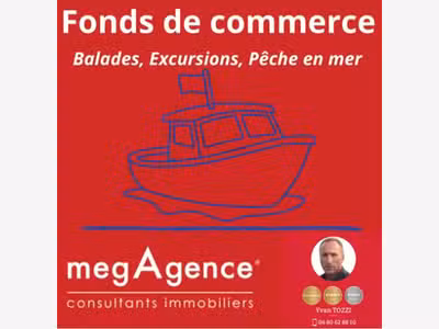 Société Organisation d'excursions promenades 85
