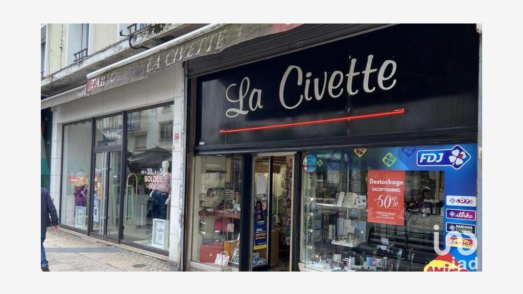 Civette à Lille
