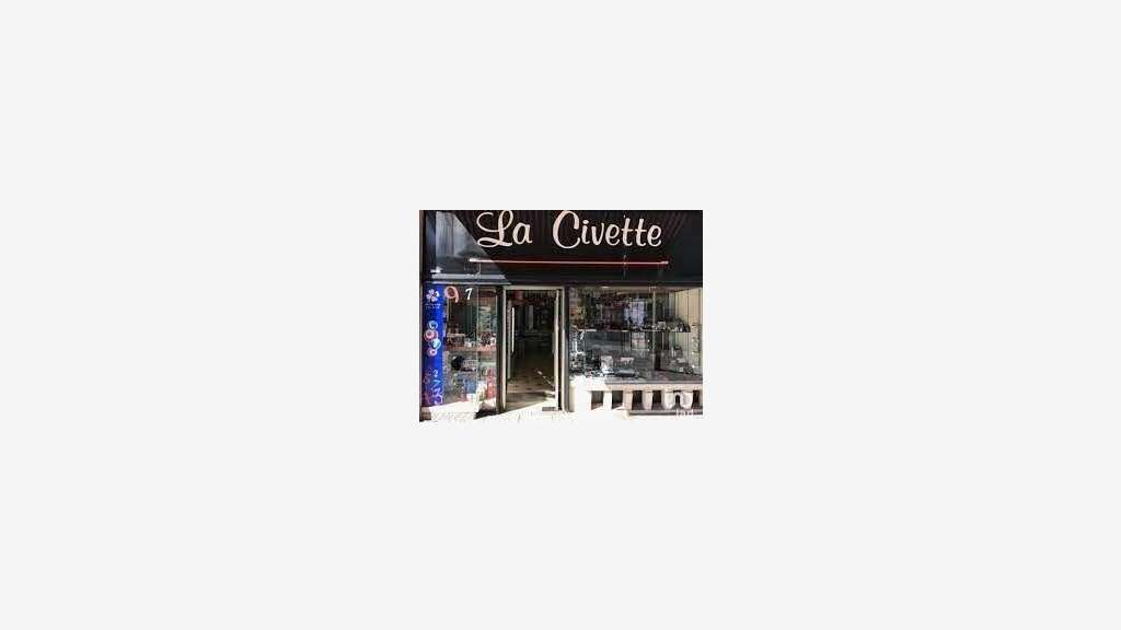 Civette à Lille