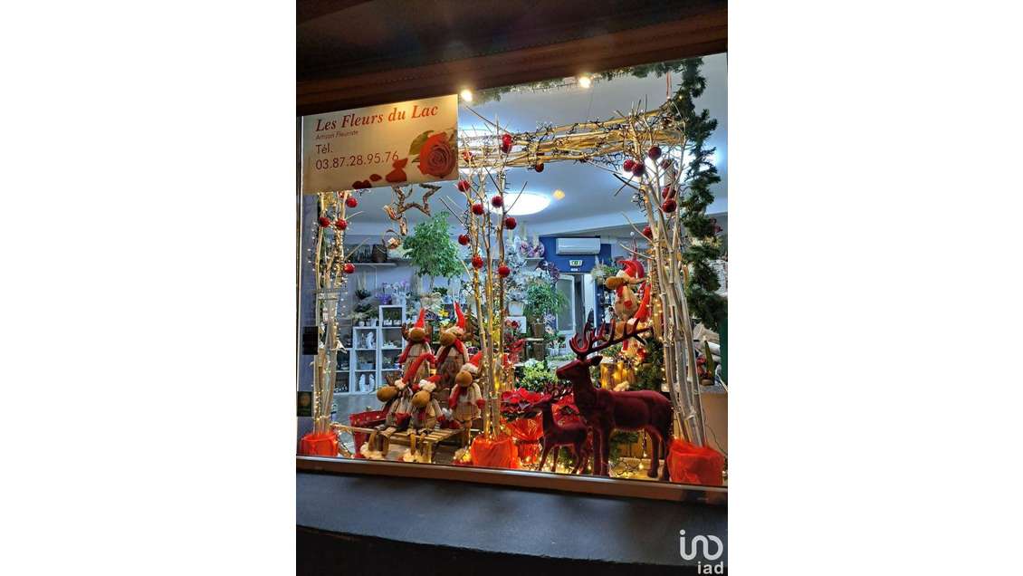 Vente FDC fleuriste bel empl à Puttelange-Aux-Lacs
