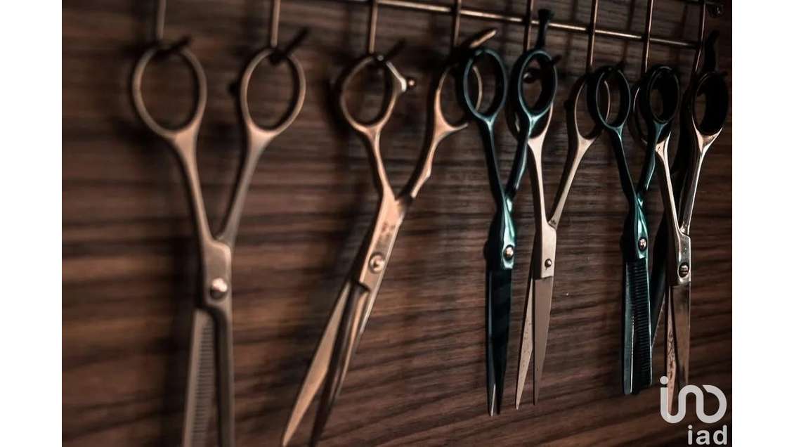 Vente salon de coiffure empl N°1 Sauve