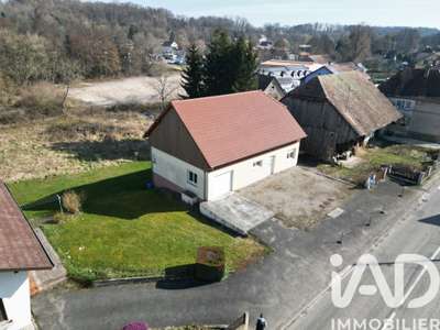 Vente Divers Commerces à Seppois-le-Bas