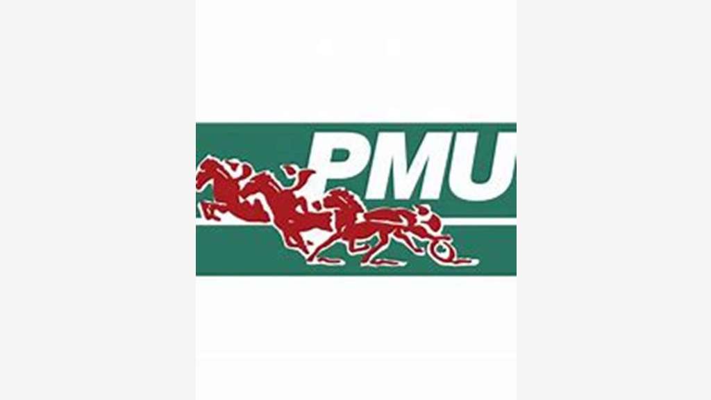 Vente tabac presse FDJ PMU secteur Le Creusot