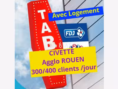Vente civette tabac FDJ idéale 1 à 2 pers dept 76