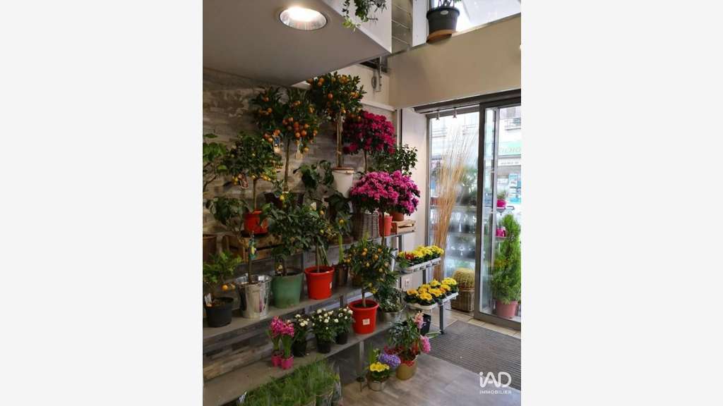 Vente FDC fleuriste à Tours proche rue Nationale