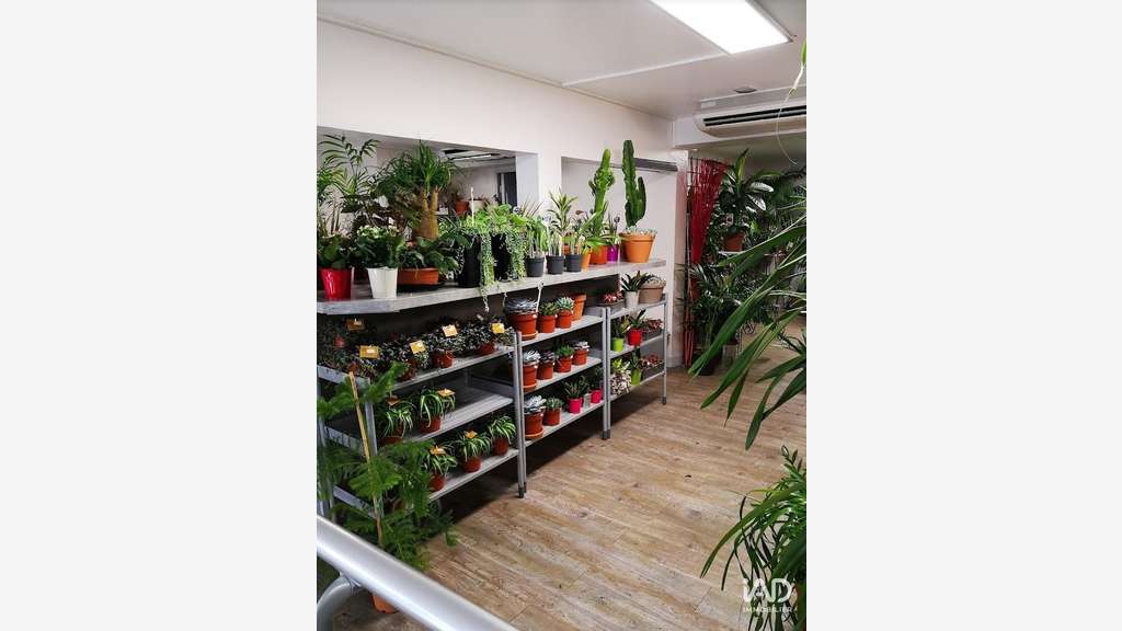 Vente FDC fleuriste à Tours proche rue Nationale