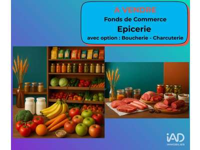 Vente Boucherie - Charcuterie à Villedômer