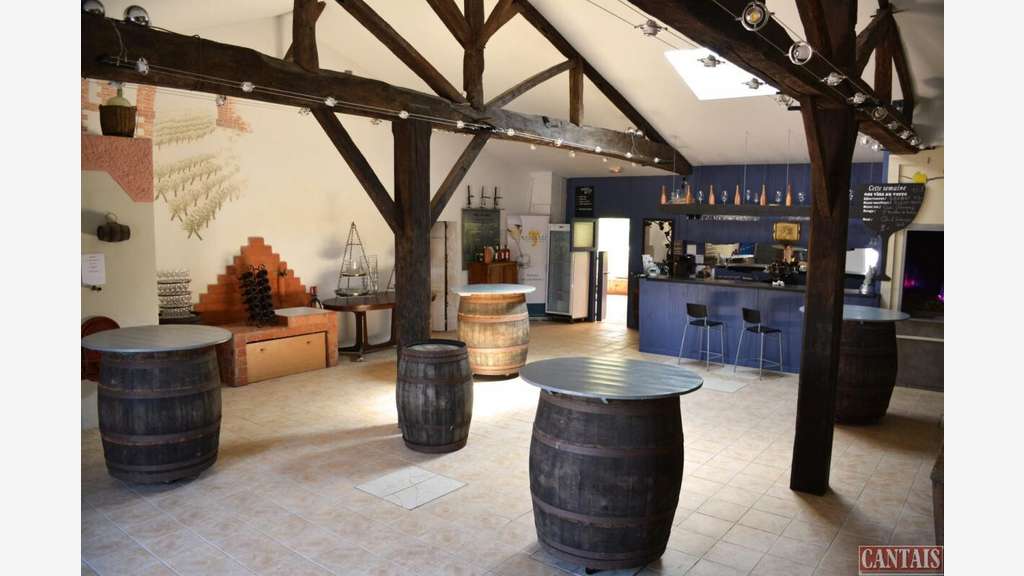 Vente gîte sur 15 ha de terrain Pays-Nantais