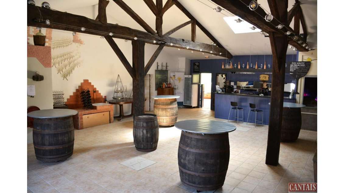 Vente gîte sur 15 ha de terrain Pays-Nantais