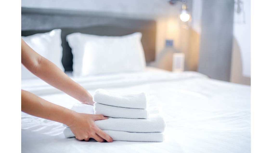 A vendre murs et fonds gites en Auvergne (Sancy)