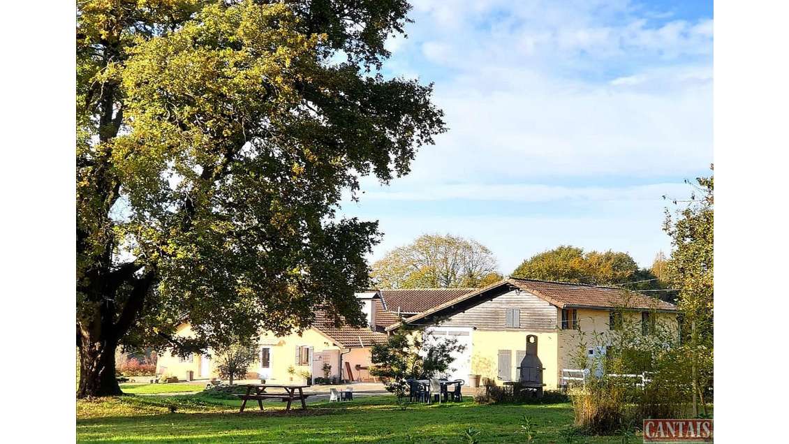 Vente appartements meublées axe Mont de Marsan Pau