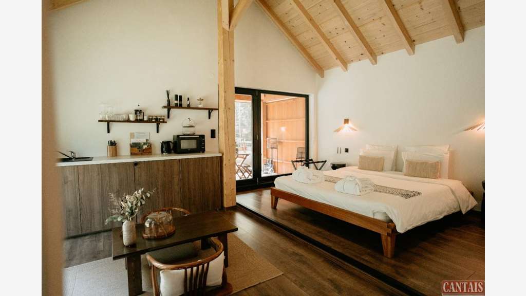 AV domaine de luxe 3 hébergements Nancy-Strasbourg