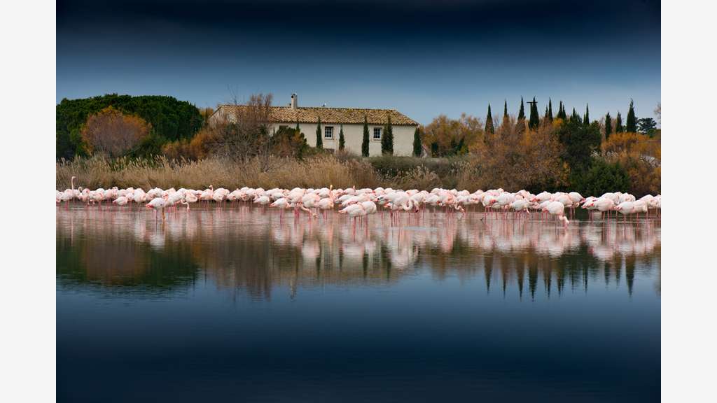 Hôtel 4* en Camargue situation et emplacement N°1