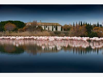 Hôtel 4* en Camargue situation et emplacement N°1