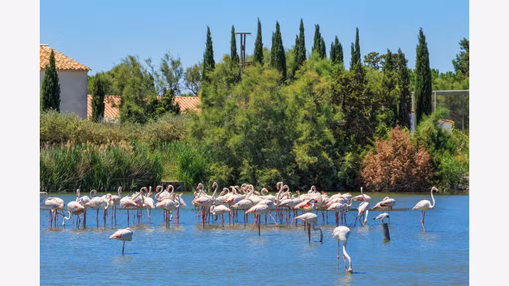 Camargue Hotel proche des plages et du village