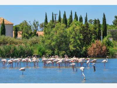 Camargue Hotel proche des plages et du village