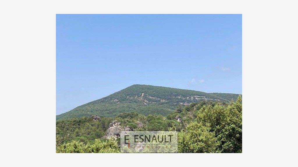 Hérault tourisme vert vente hôtel bureau 28 N°