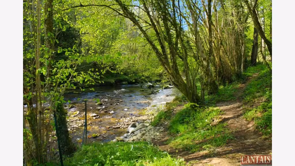 Vente gîte proche des Châteaux Cathares
