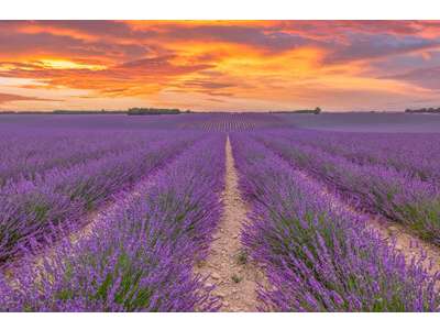 Vente Hôtel - Hôtel restaurant dans le Vaucluse