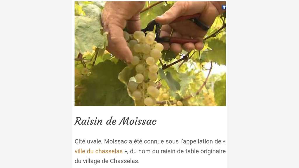 Exceptionnel hôtel restaurant rénové à Moissac