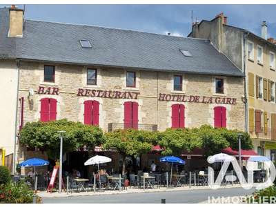 Vente Hôtel - Hôtel restaurant à Sévérac d'Aveyron