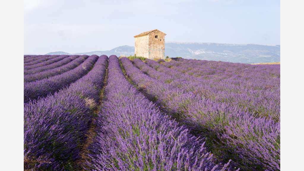 A vendre Hôtel dans le Vaucluse