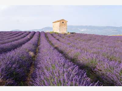 A vendre Hôtel dans le Vaucluse
