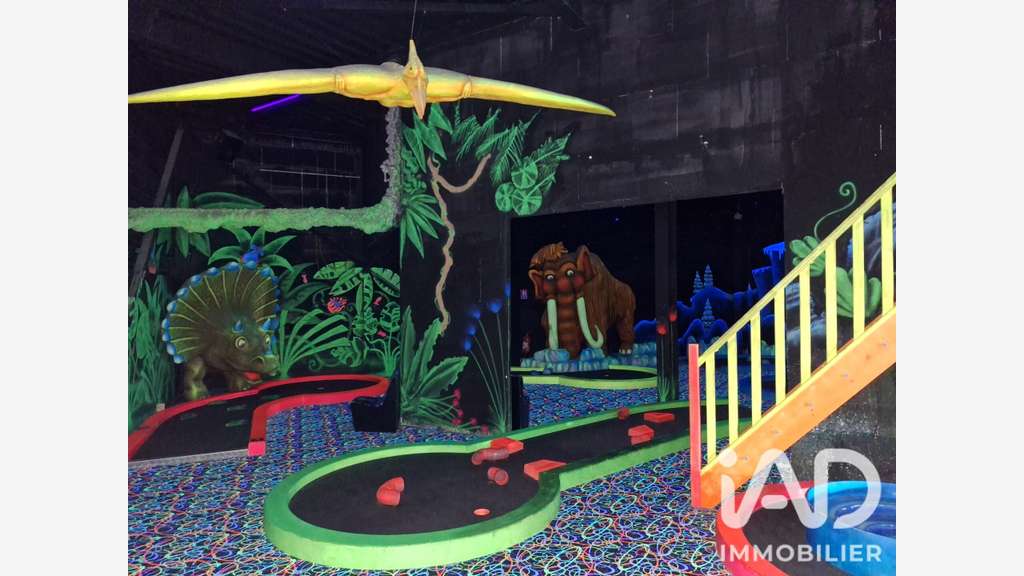 Vente complexe multi-activités Canet-en-Roussillon