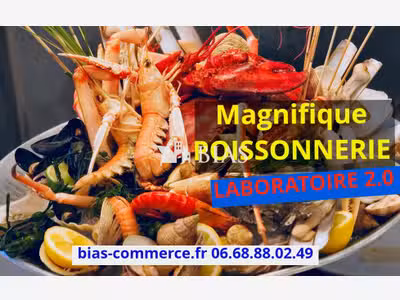 AV poissonnerie d’exception sur Côtes d’Albâtre