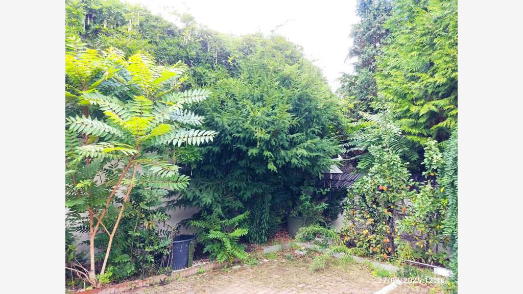 Hôtel appart resto à vendre à Forbach