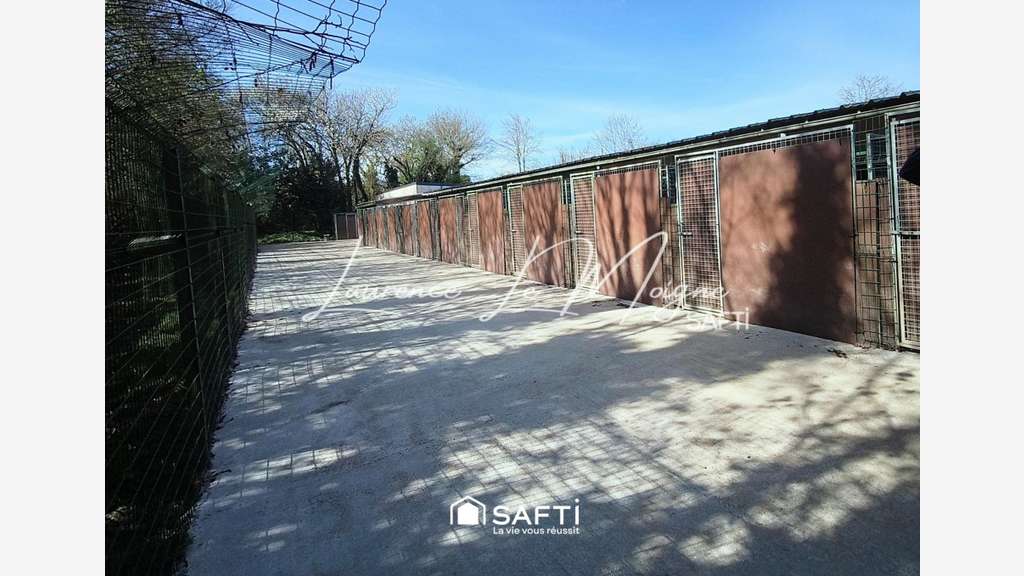 Vente pension canine vendue avec maison (+fonds)