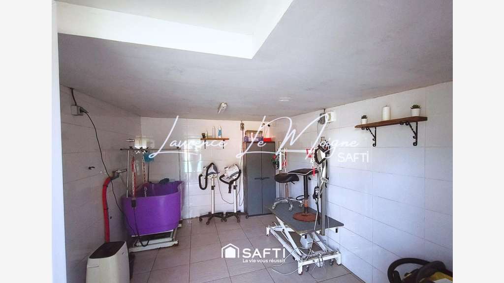Vente pension canine vendue avec maison (+fonds)