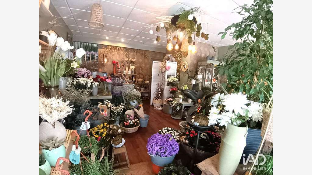 Vente FDC fleuriste à Lorient centre